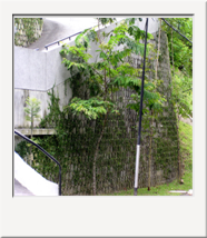 28. Bukit Tunku, KL.