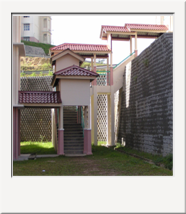 39. USM, Penang