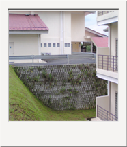 42. Institut Tanah Behrang, Perak