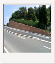 64. Betotitan