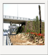 86. Tunis Flyover