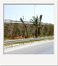 87.Tunis, Tunisia
