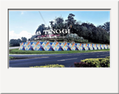 146. Kota Tinggi, Johor